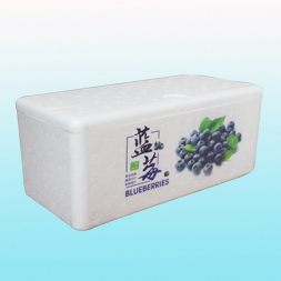 4盒藍莓泡沫箱